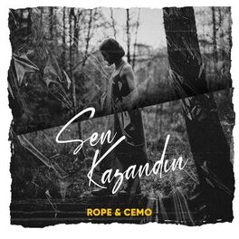 Album cover of Sen Kazandın (feat. Cemo)