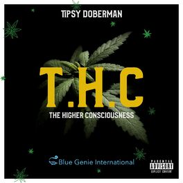 Album cover of T.H.C - The Higher Consciousness