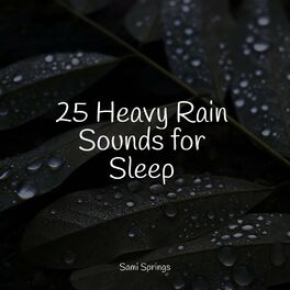 Album cover of 25 Heavy Rain Sounds for Sleep