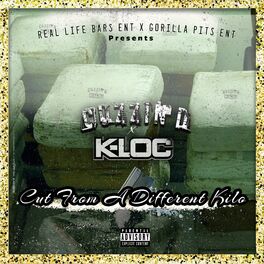 Album cover of Cut From A Different Kilo