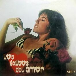 Album cover of Los Exitos De Amor, Vol. 4