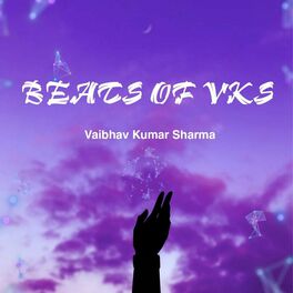 Album cover of Beats Of Vks