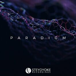 Album cover of Steyoyoke Paradigm, Vol. 06