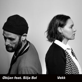 Album cover of Vekk