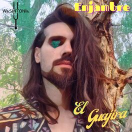 Album cover of Enjambre (feat. El Guajira & Paco Santana)