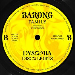 Album cover of Disco Lights