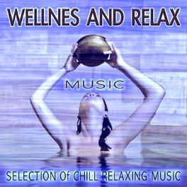 Album cover of Wellnes and Relax Music (Selection of Chill Relaxing Music)