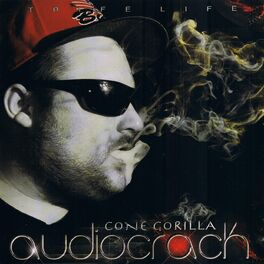 Album cover of Audiocrack