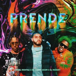 Album cover of Prende (feat. El Cherry Scom, El Mangry & Dj Astilo) [Version Discoteca]