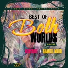 Album cover of Best of Both Worlds Riddim