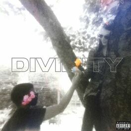 Album cover of Divinity.