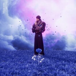 Album cover of Blaue Rose