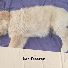 Album cover of Day Sleeper