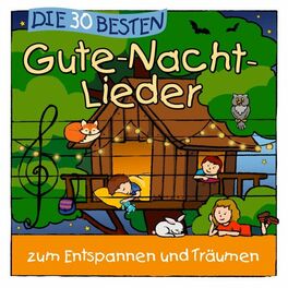Album cover of Die 30 besten Gute-Nacht-Lieder (Zum Entspannen und Träumen)