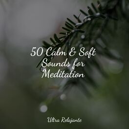 Album cover of 50 Calm & Soft Sounds for Meditation