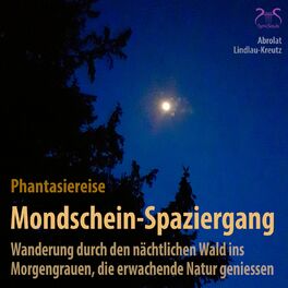 Album cover of Mondschein-Spaziergang - Phantasiereise: Wanderung durch den nächtlichen Wald ins Morgengrauen, die erwachende Natur geniessen