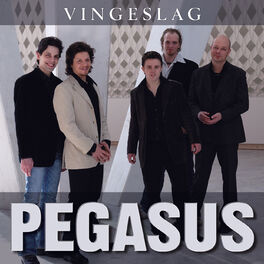 Album cover of Vingeslag