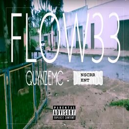 Album cover of Flow 33