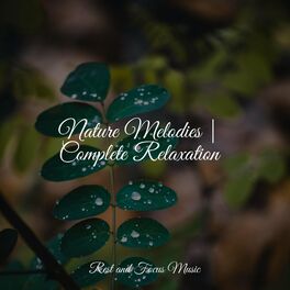 Album cover of Nature Melodies | Complete Relaxation