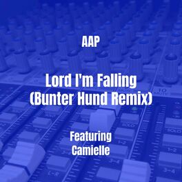 Album cover of Lord I'm Falling (Bunter Hund Remix)