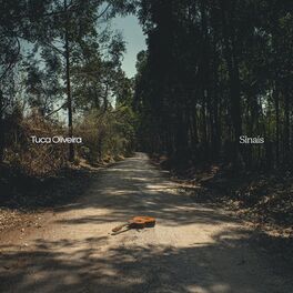 Album cover of Sinais