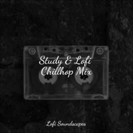 Album cover of Study & Lofi Chillhop Mix