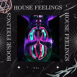 Album cover of House Feelings Vol.1 (Album)