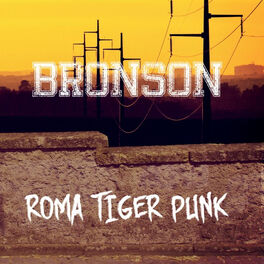 Album cover of Roma Tiger Punk