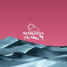 Album cover of A Journey Through the Valley 2