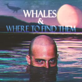 Album cover of Whales and Where to Find Them