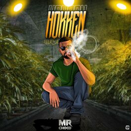 Album cover of Hokken