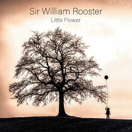 Album cover of Little Flower