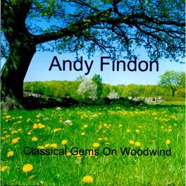 Album cover of Classical Gems On Woodwinds