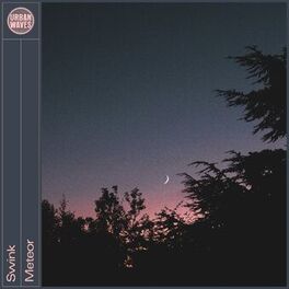Album cover of Meteor