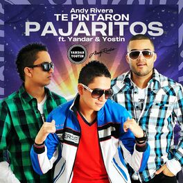 Album cover of Te Pintaron Pajaritos