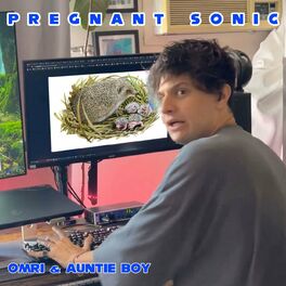 Album cover of Pregnant Sonic