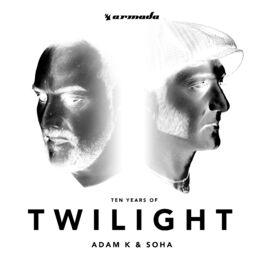 Album cover of Twilight (Ten Years Of)