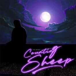 Album cover of Counting Sheep