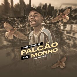 Album cover of Falcão no Morro