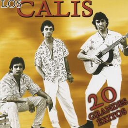 Album cover of 20 Grandes exitos
