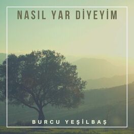 Album cover of Nasıl Yar Diyeyim (Live)