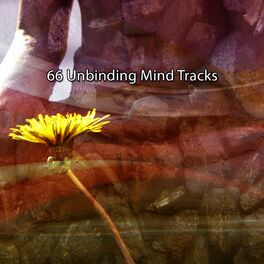 Album cover of 66 Unbinding Mind Tracks