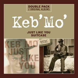 Album cover of Just Like You/Suitcase