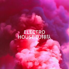 Album cover of Electro House DJ排队