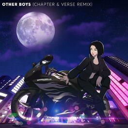 Album cover of Other Boys (Chapter & Verse Remix)