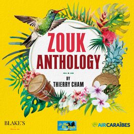 Album picture of Zouk Anthology by Thierry Cham