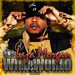 Album cover of Wild World - Single