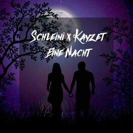 Album cover of Eine Nacht