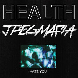 Album cover of HATE YOU