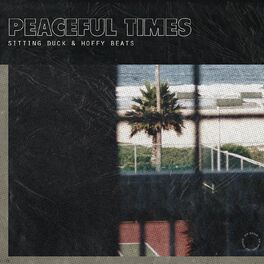 Album cover of Peaceful Times